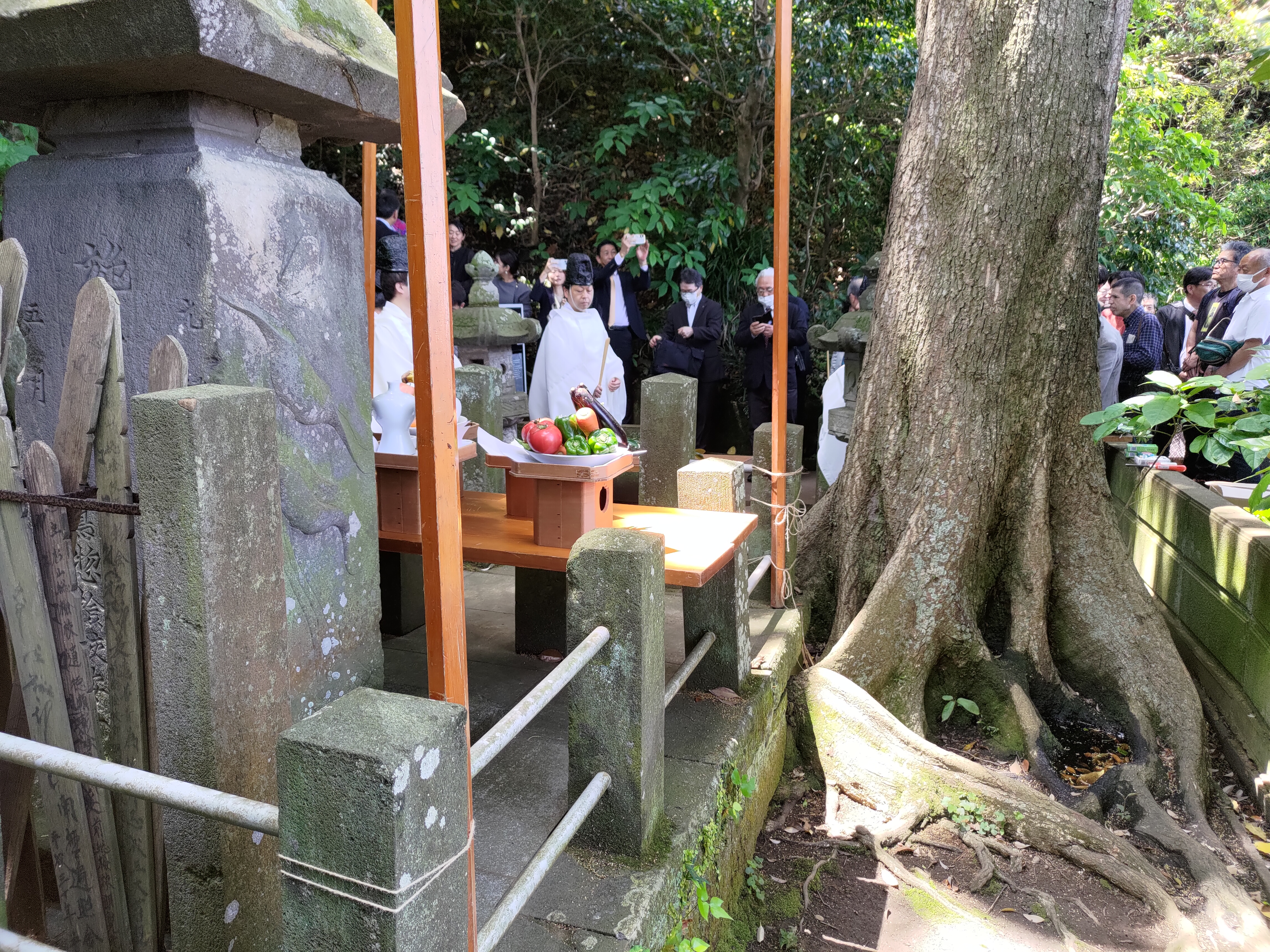 令和 7 年 5 月 11日杉山祭（動画にてご覧いただけます。）